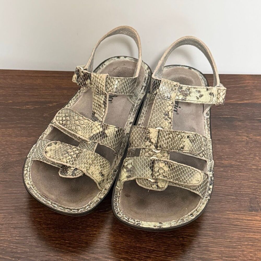 Alegria Kleo sandal snakeskin-embossed T-strap design, adjustable hook-and-loop